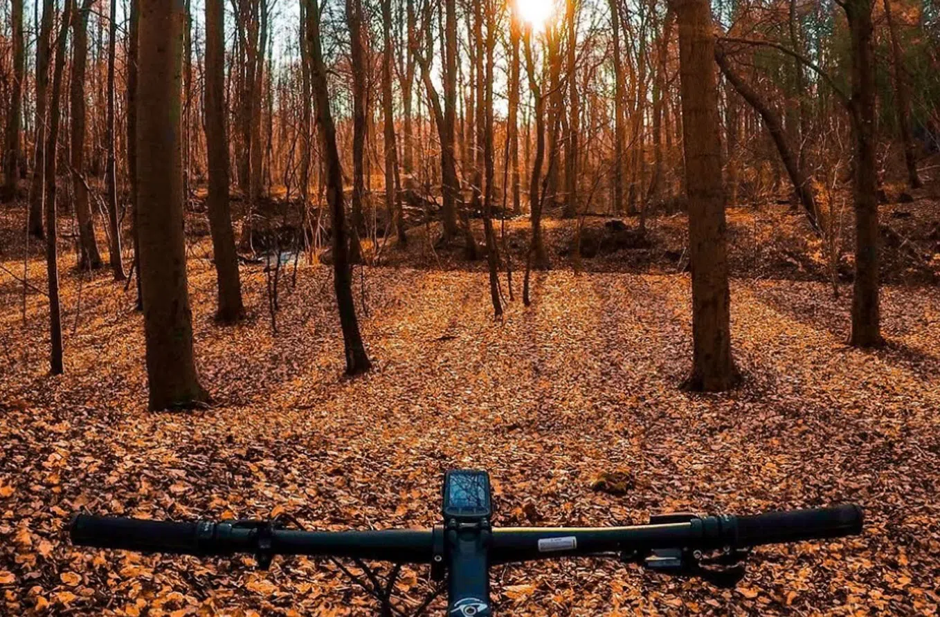 behindhandlebars