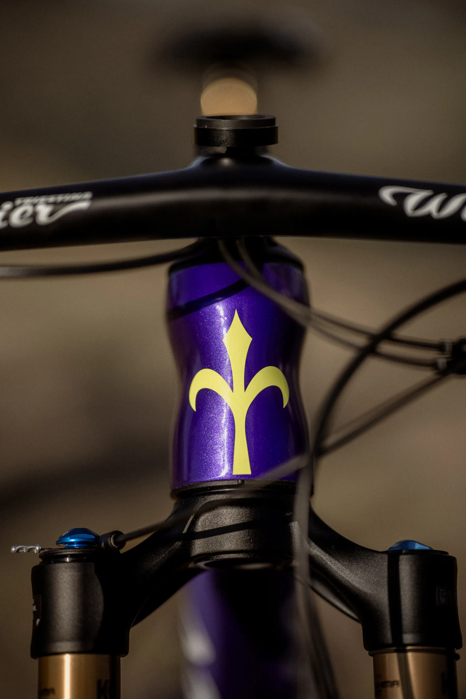 Wilier Urta Ultimate