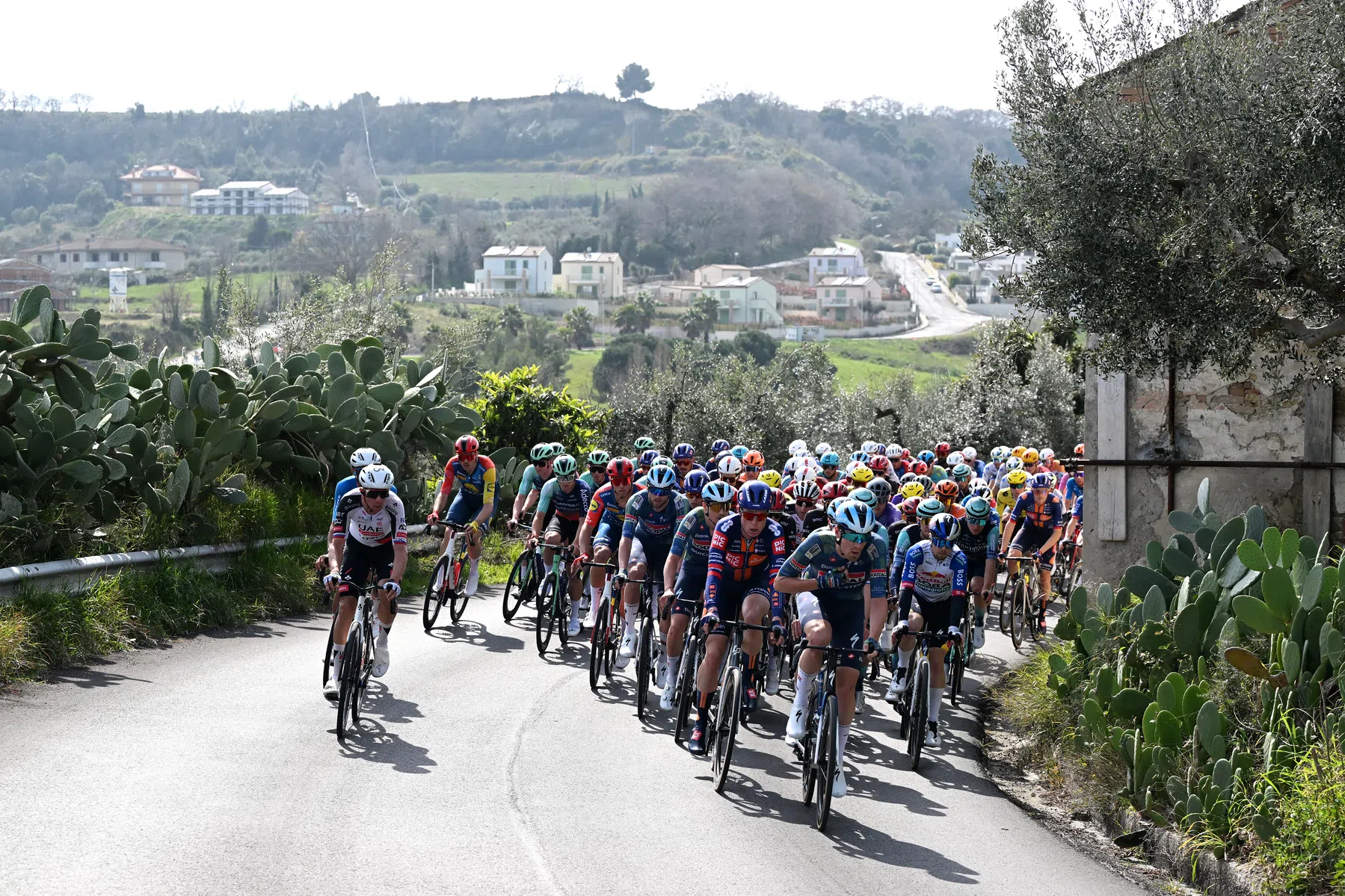Tirreno adriatico