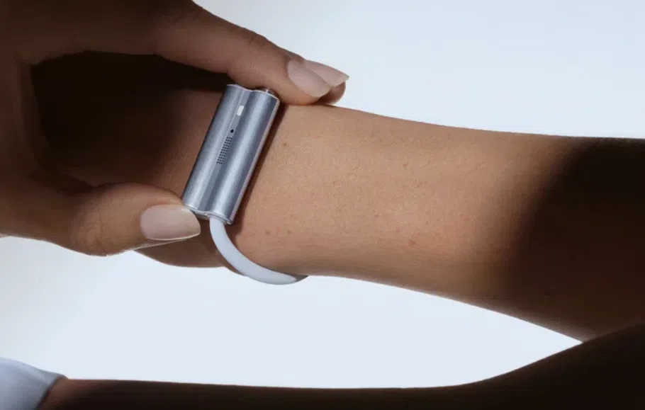 Luffu Link in zilver.