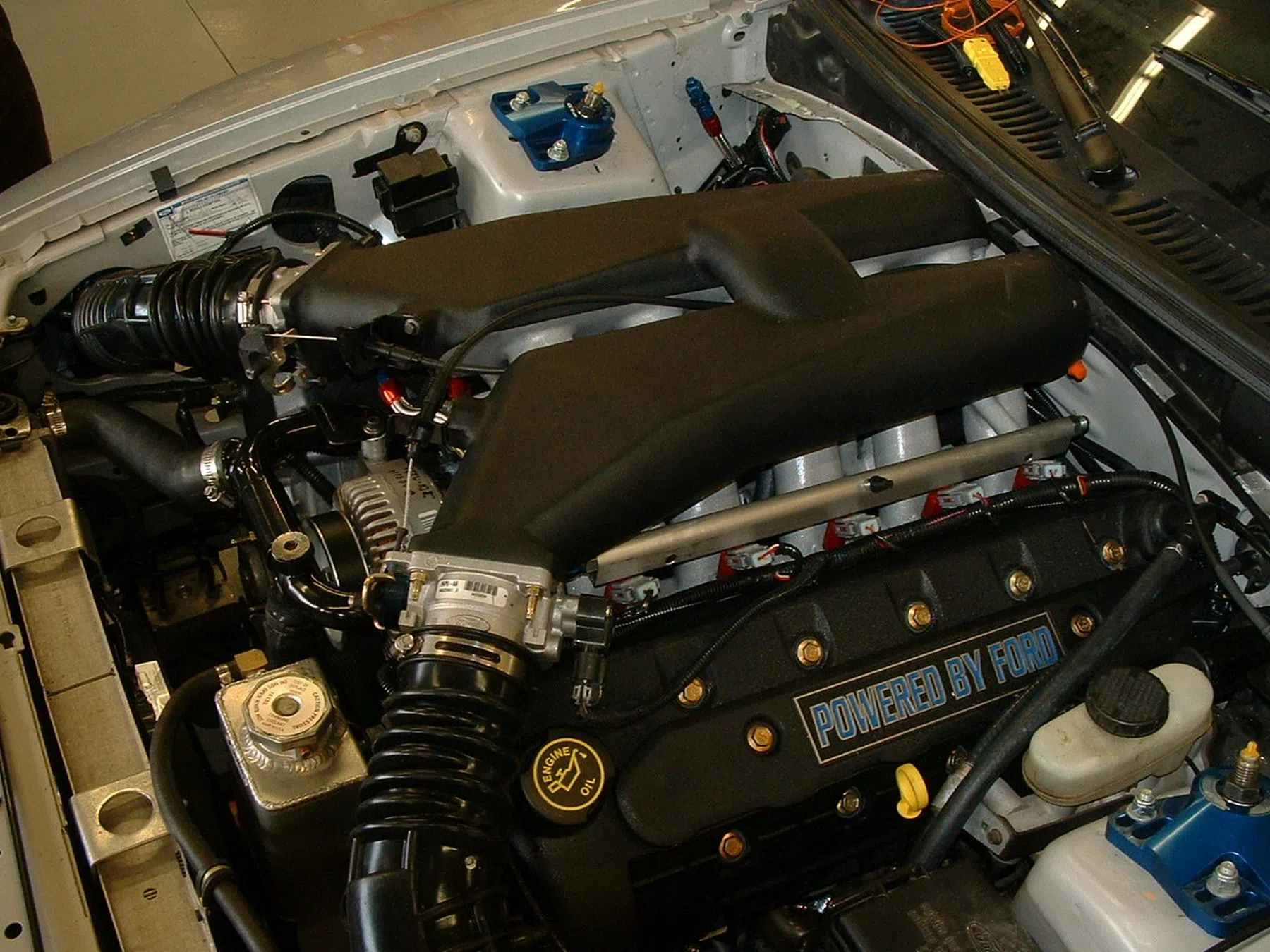 Ford Mustang V10