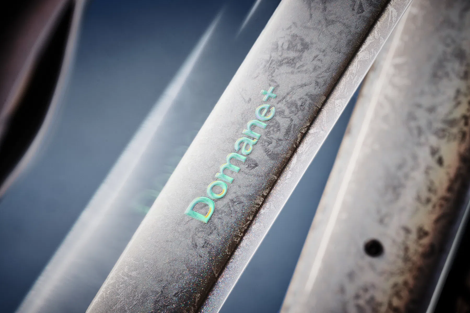 Trek Domane+