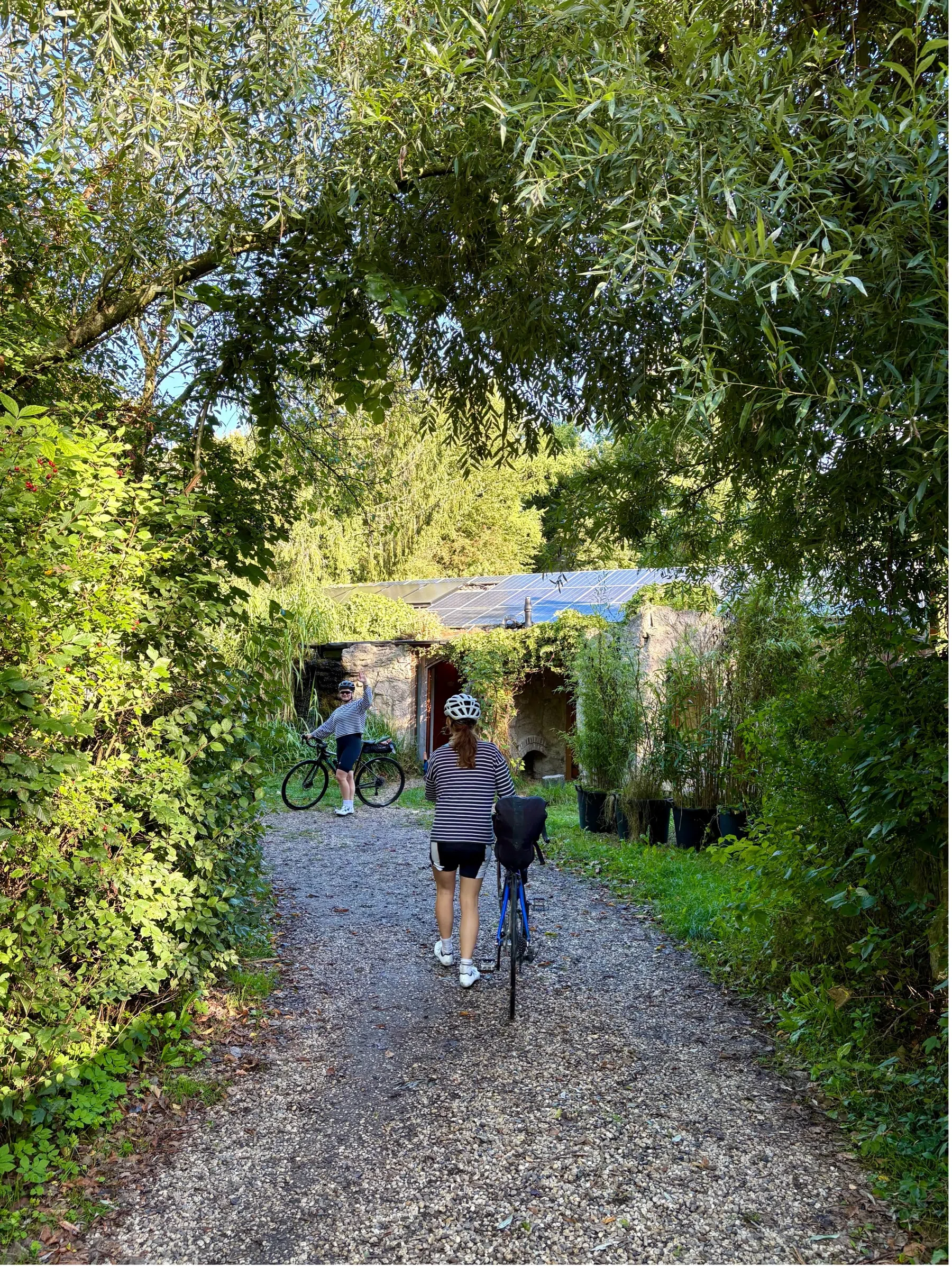 Fietsen in Groningen