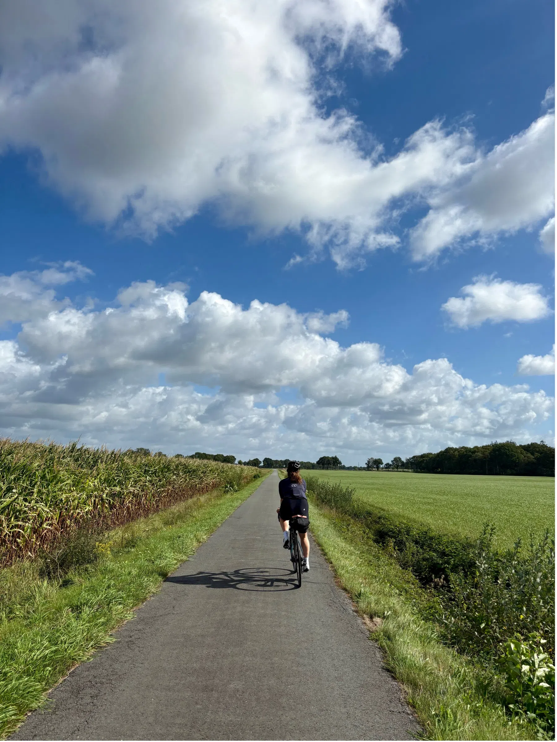 Fietsen in Groningen