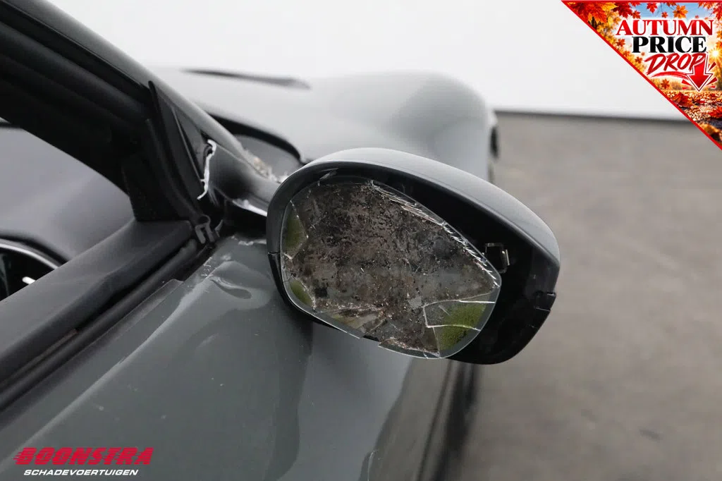Ferrari 12Cilindri schadebak