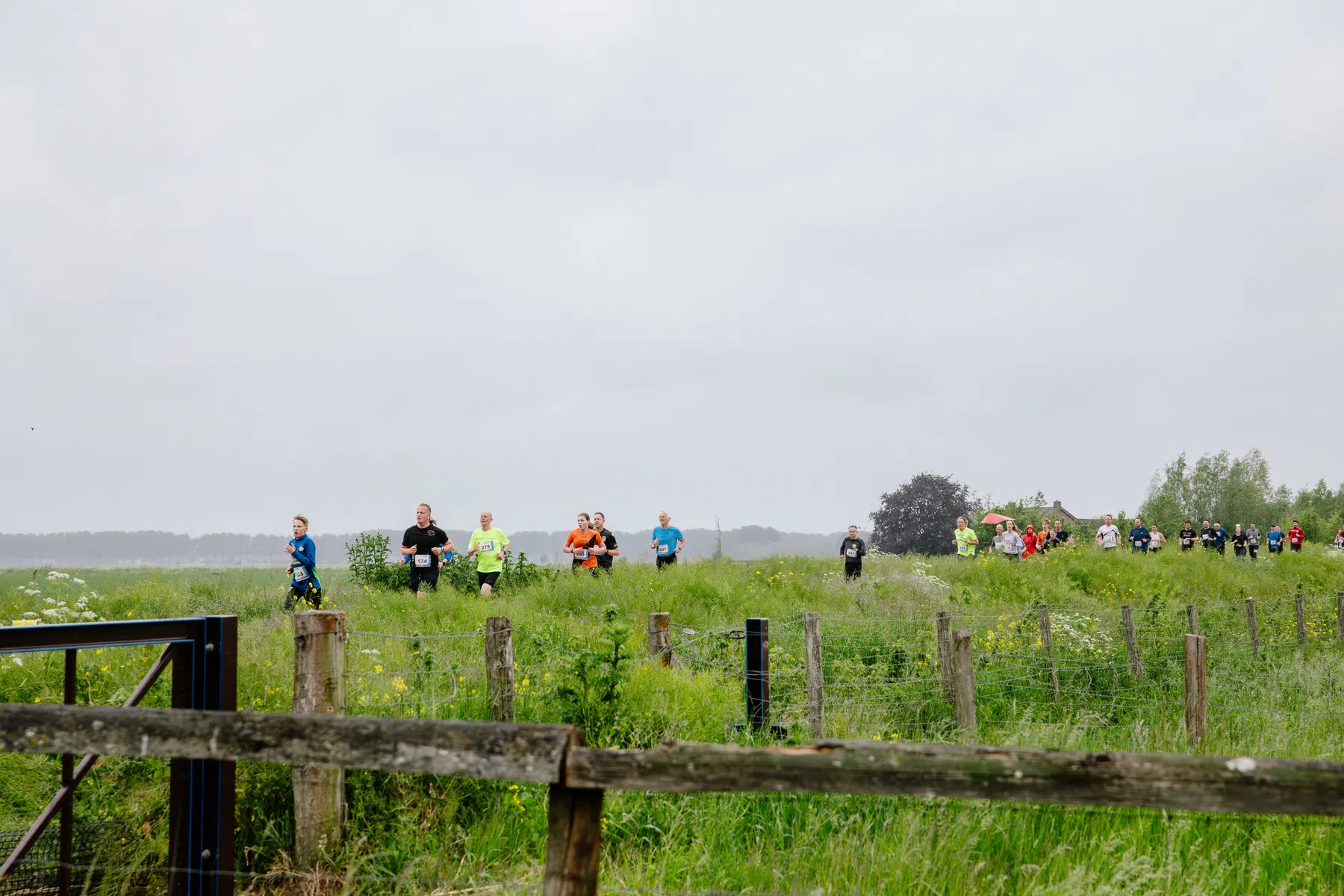 Lingezegen Marathon