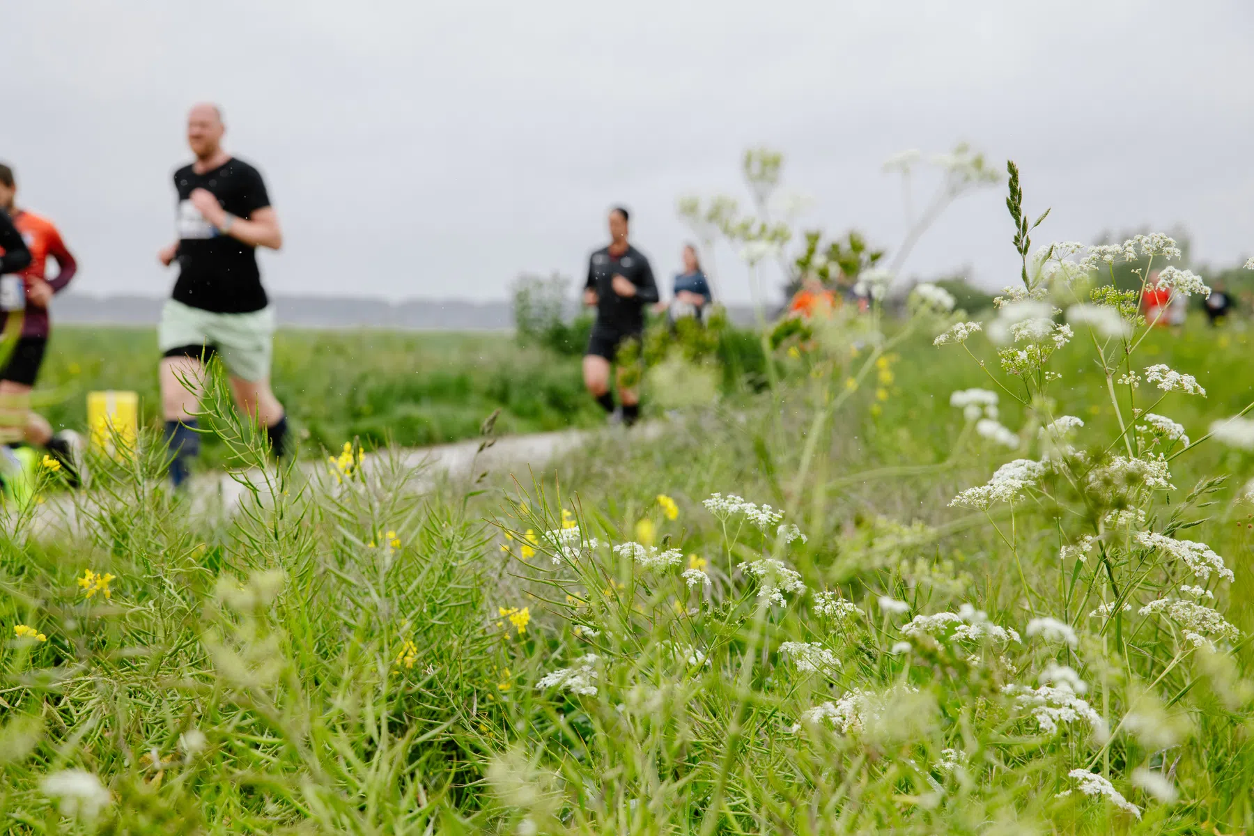 Lingezegen Marathon