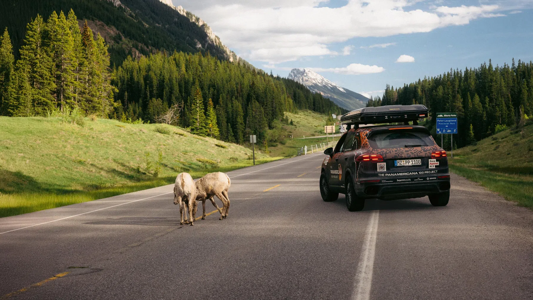Porsche Cayenne roadtrip