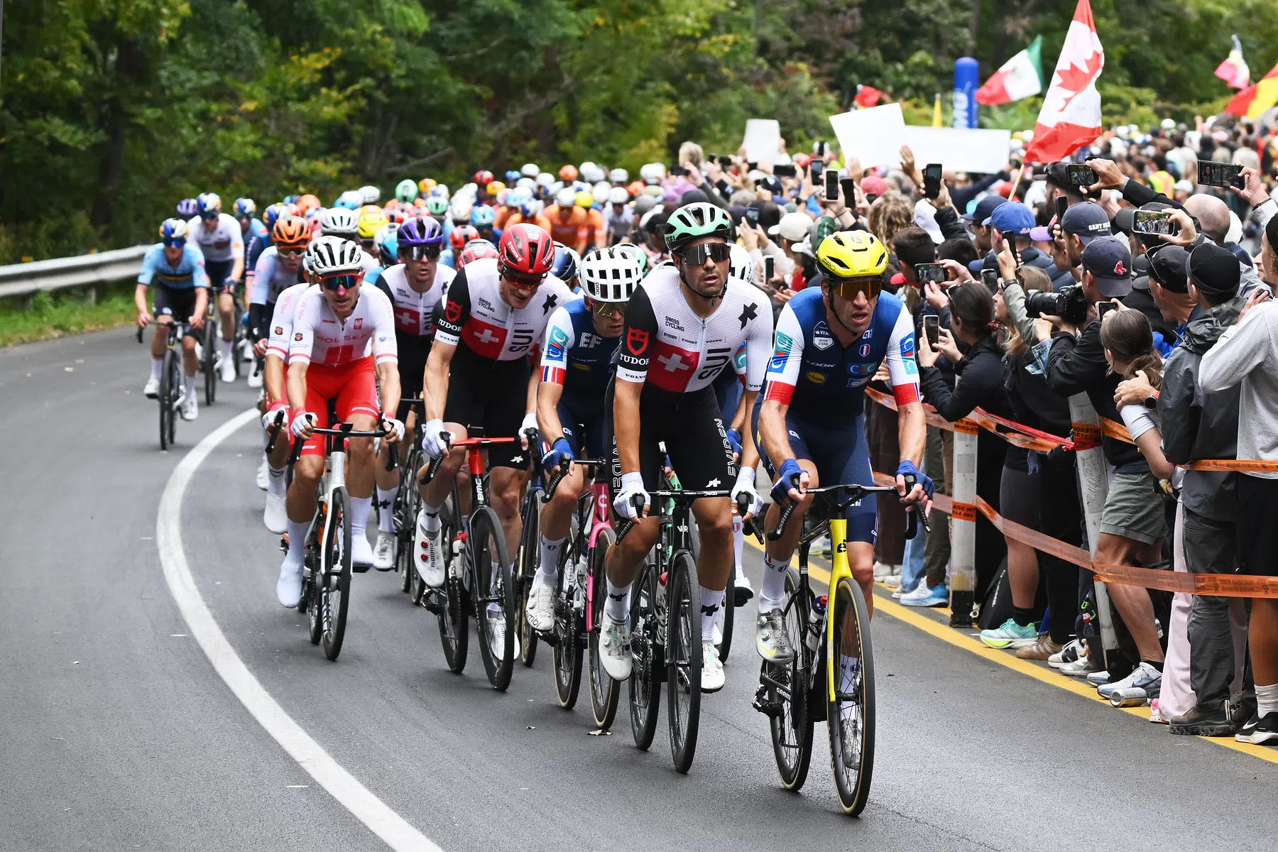 Bruno Armirail op kop van het peloton
