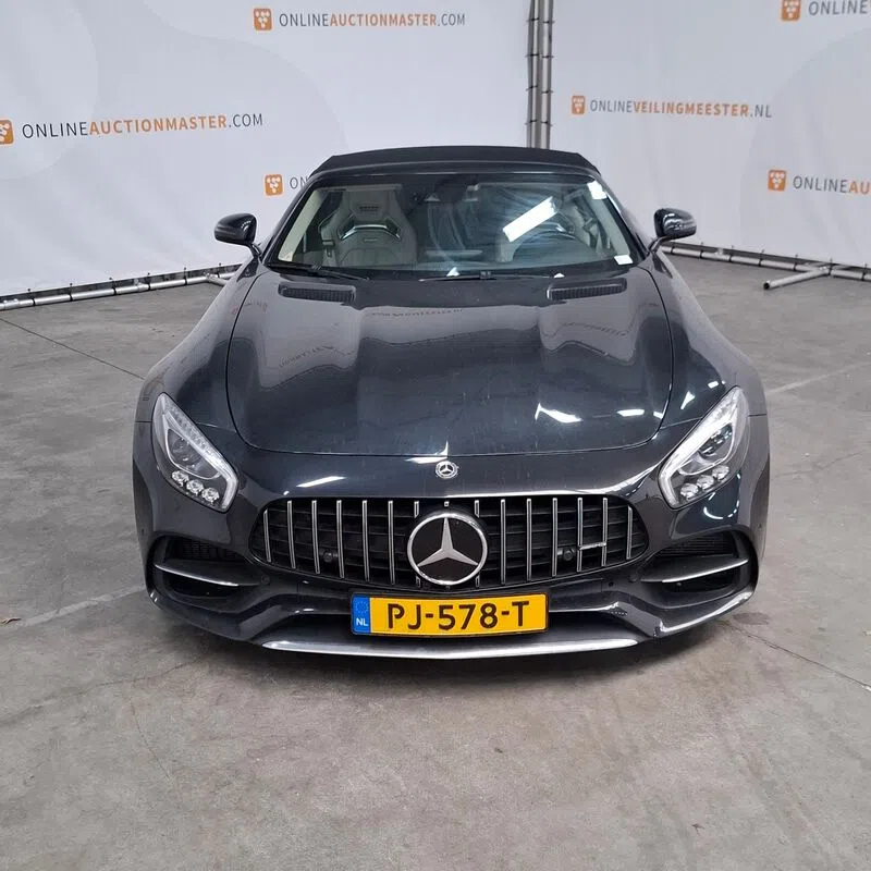 Mercedes-AMG GT Roadster Domeinen