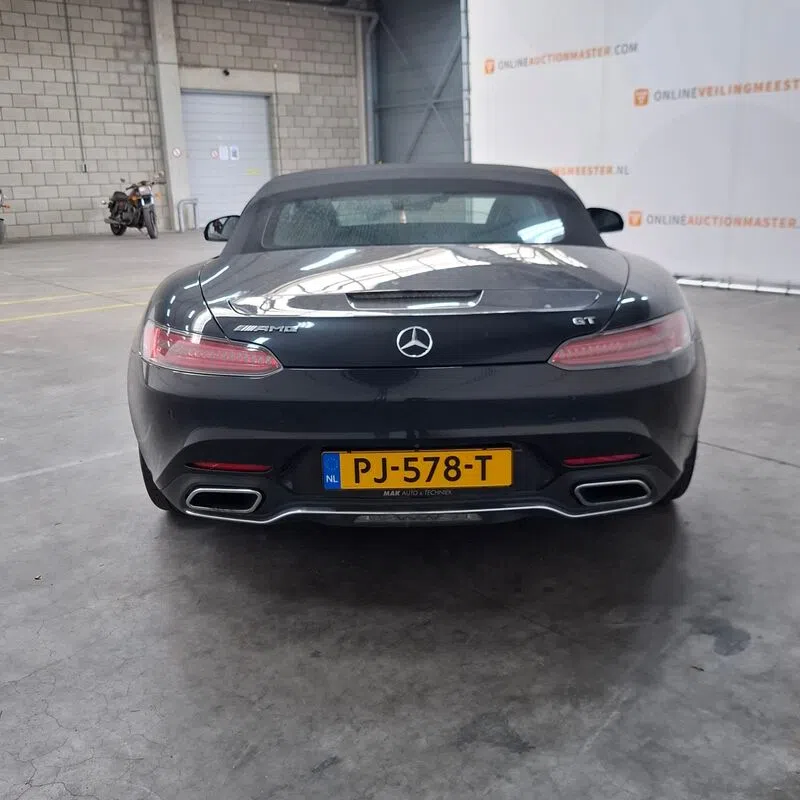 Mercedes-AMG GT Roadster Domeinen