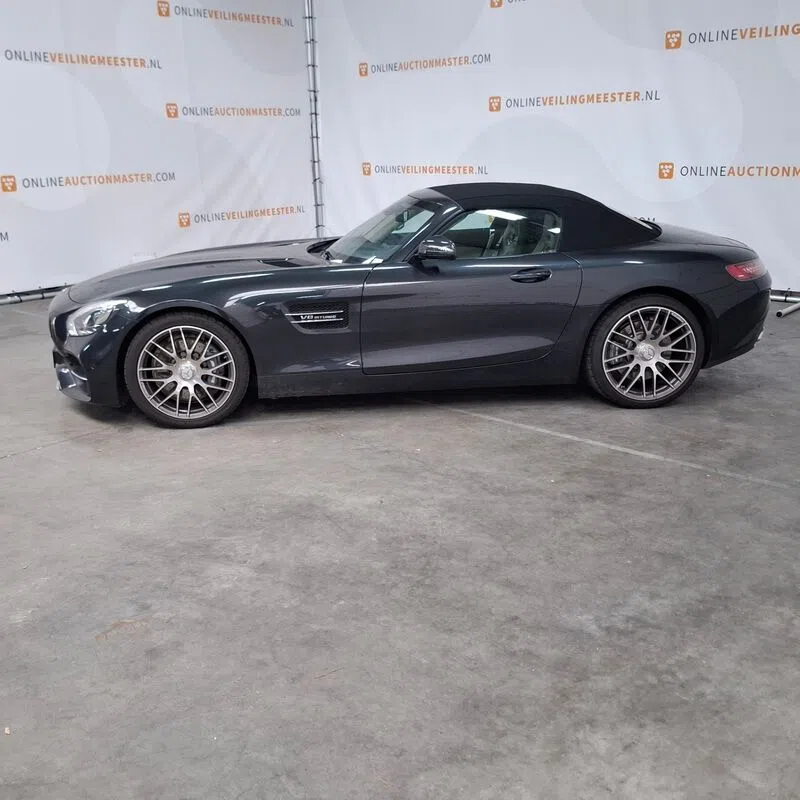 Mercedes-AMG GT Roadster Domeinen