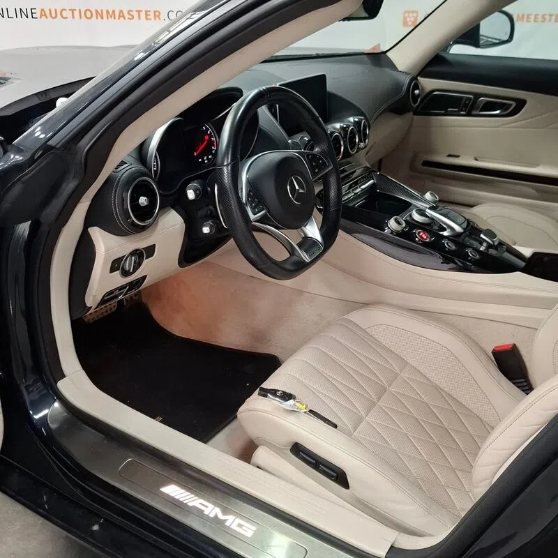Mercedes-AMG GT Roadster Domeinen