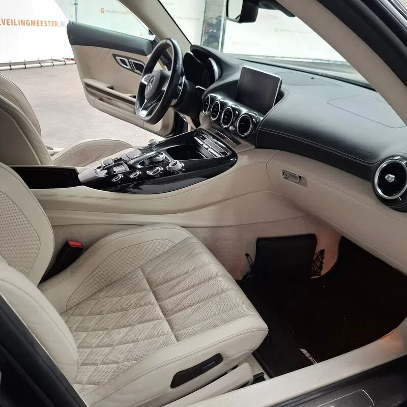 Mercedes-AMG GT Roadster Domeinen
