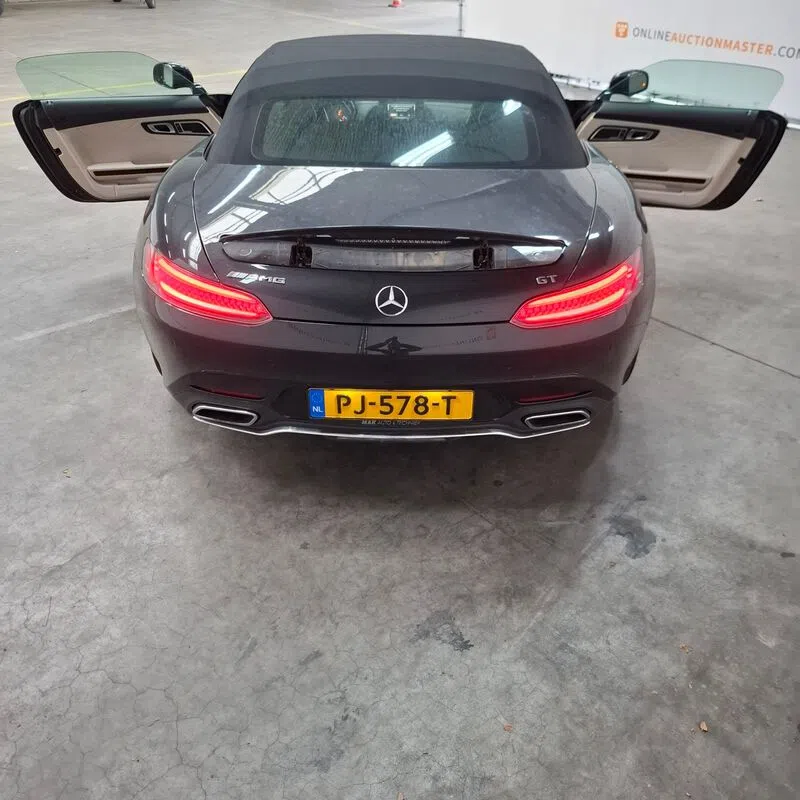 Mercedes-AMG GT Roadster Domeinen