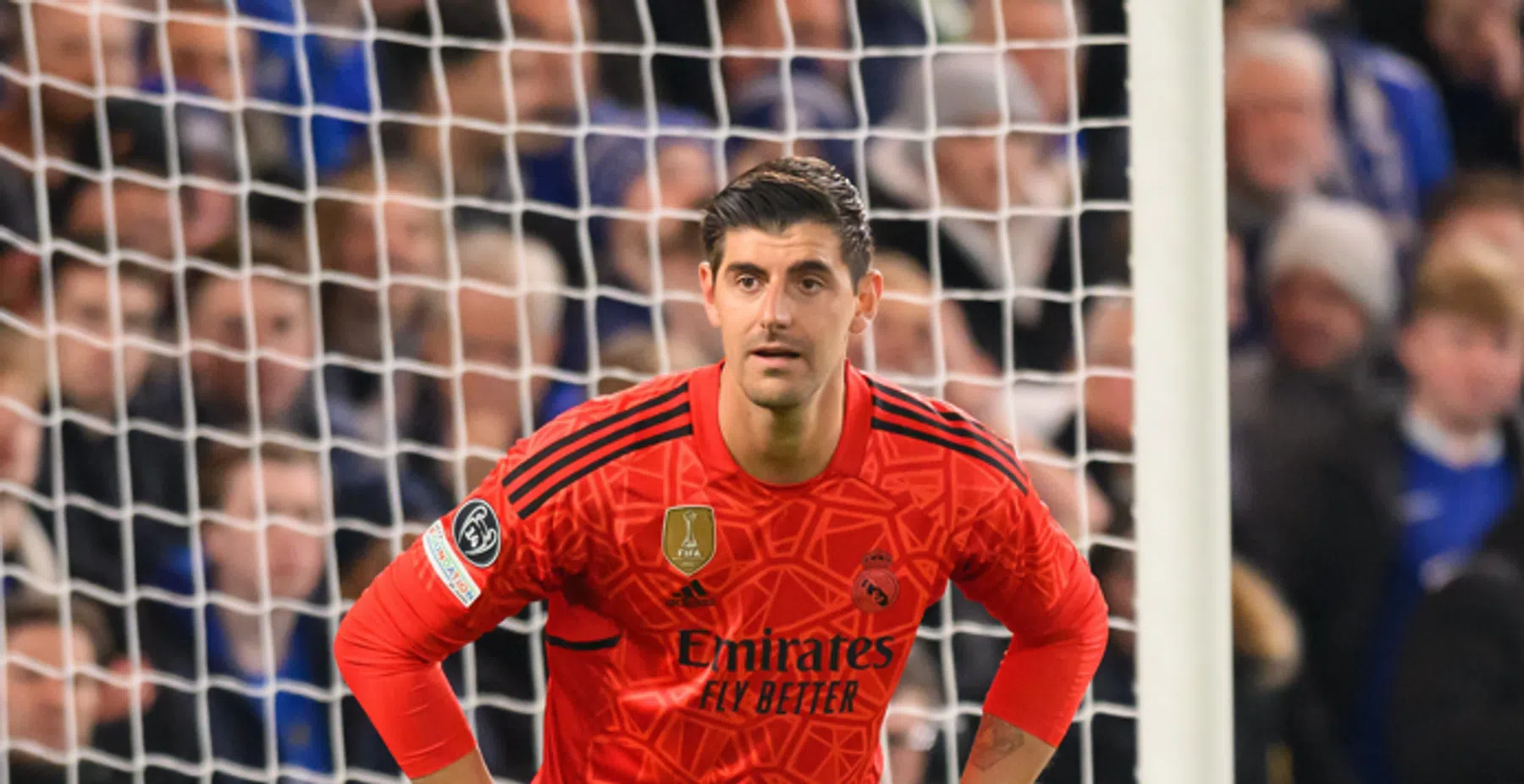 Courtois: 