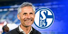 Thumbnail for article: Schalke presenteert Van Wonderen: 'Zijn werk heeft duidelijke handtekening'