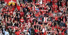 Thumbnail for article: De kostprijs voor een avond voetbal: Dender de goedkoopste, Antwerp duurste voor de fan