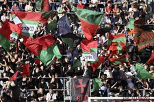 Thumbnail for article: Zulte Waregem kan toch nog eens winnen, RSCA Futures raakt niet voorbij Seraing