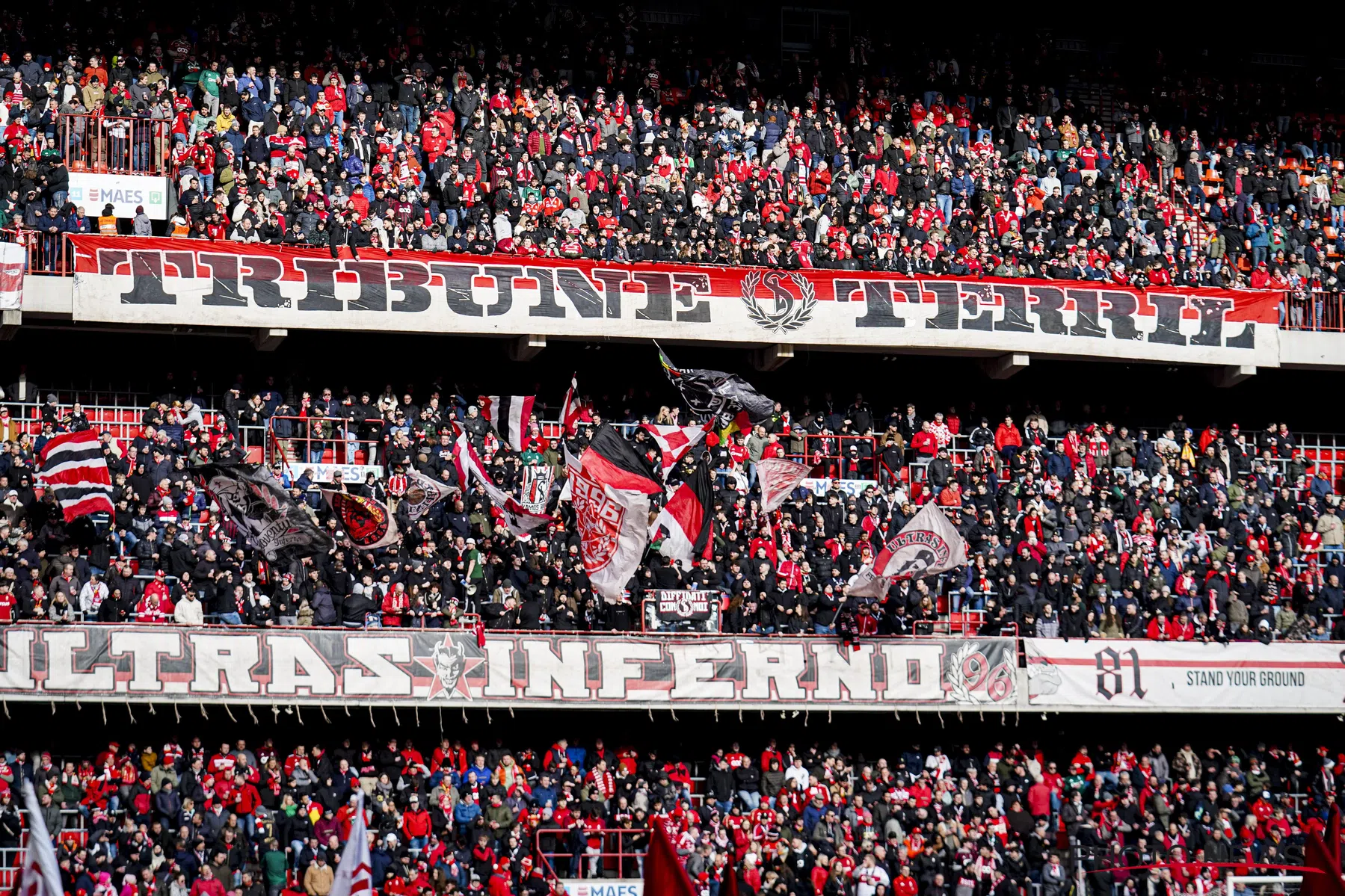 LIVE-Discussie: Standard - OH Leuven