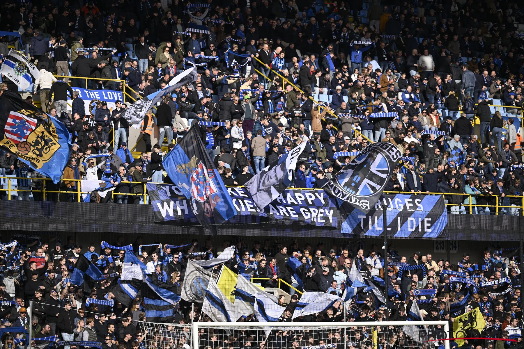 ‘Club Brugge volgt Nigeriaanse flankaanvaller Samuel Akere’