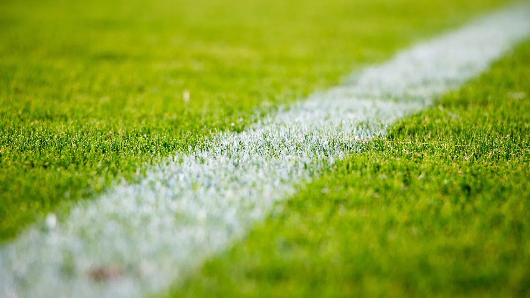 Eredivisie-captains unaniem: de beste grasmat ligt in de Kuip