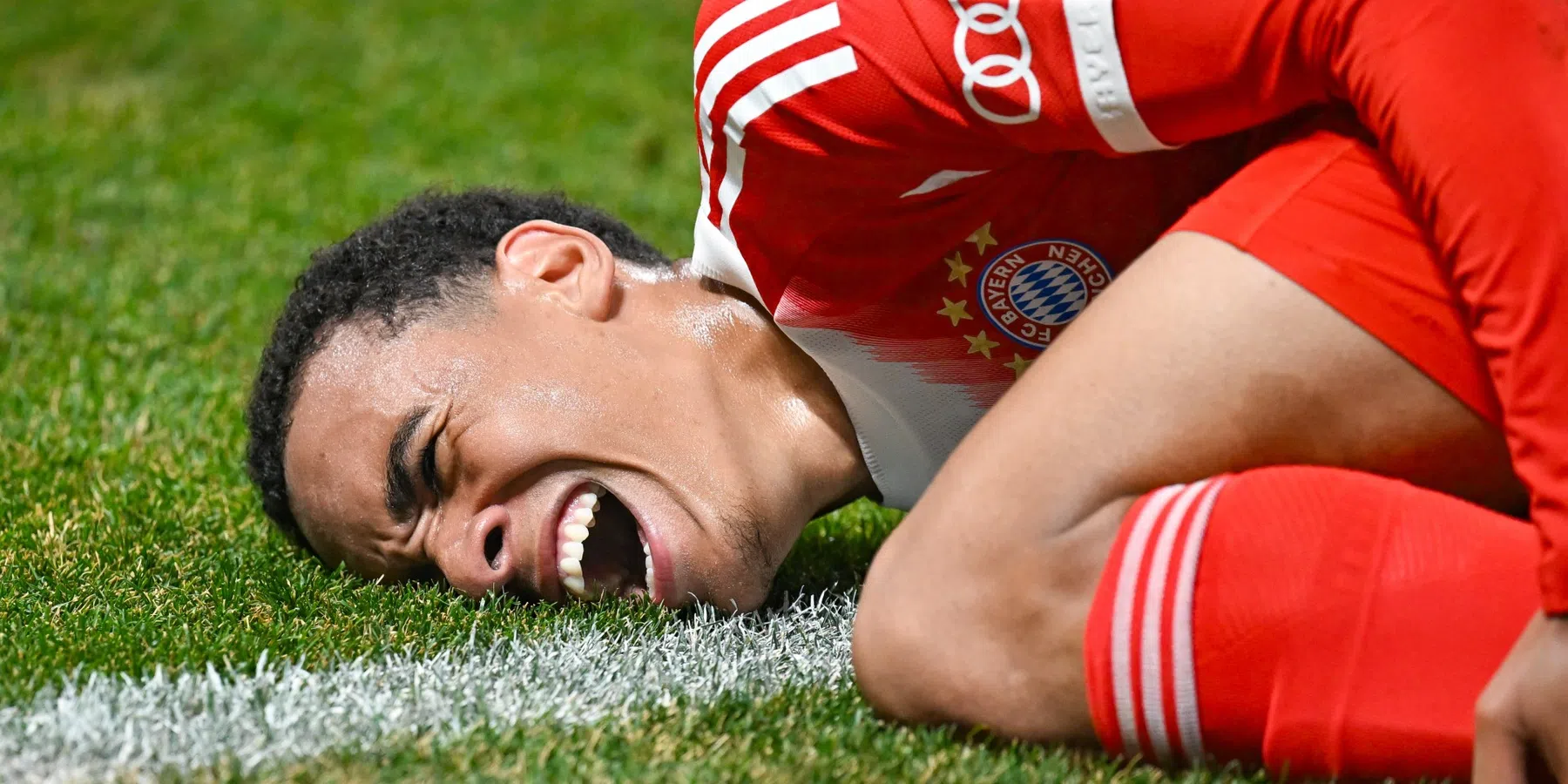 Bayern München bevestigt horrorblessure Musiala: 'Hij zal lang uitgeschakeld zijn'