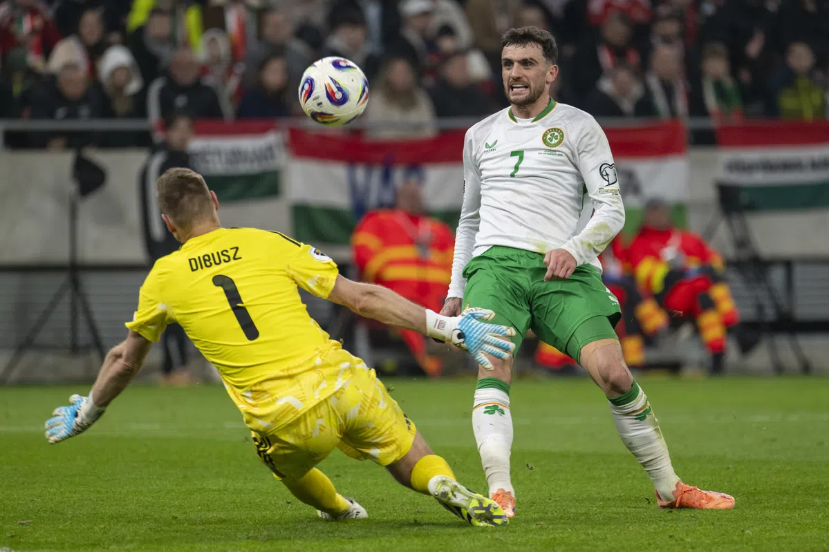 'Parrott for president', 'ik wil een standbeeld' en 'volksheld': Ierland gaat los