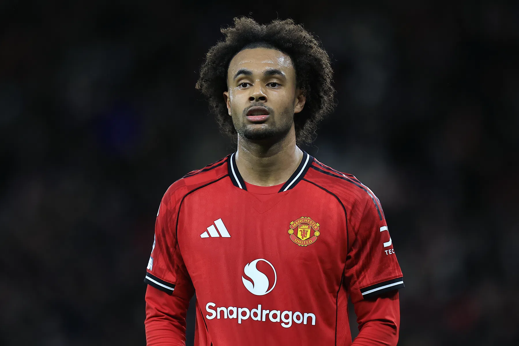 Joshua Zirkzee in de nadrukkelijke belangstelling van Juventus