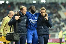 Thumbnail for article: De Mil met goed nieuws rond Kanga bij Gent na botsing: “100% gevraagd”