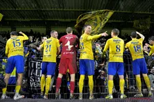 Thumbnail for article: Prachtige beelden: Groot feest in Beveren, Leeuwen vieren promotiefeest