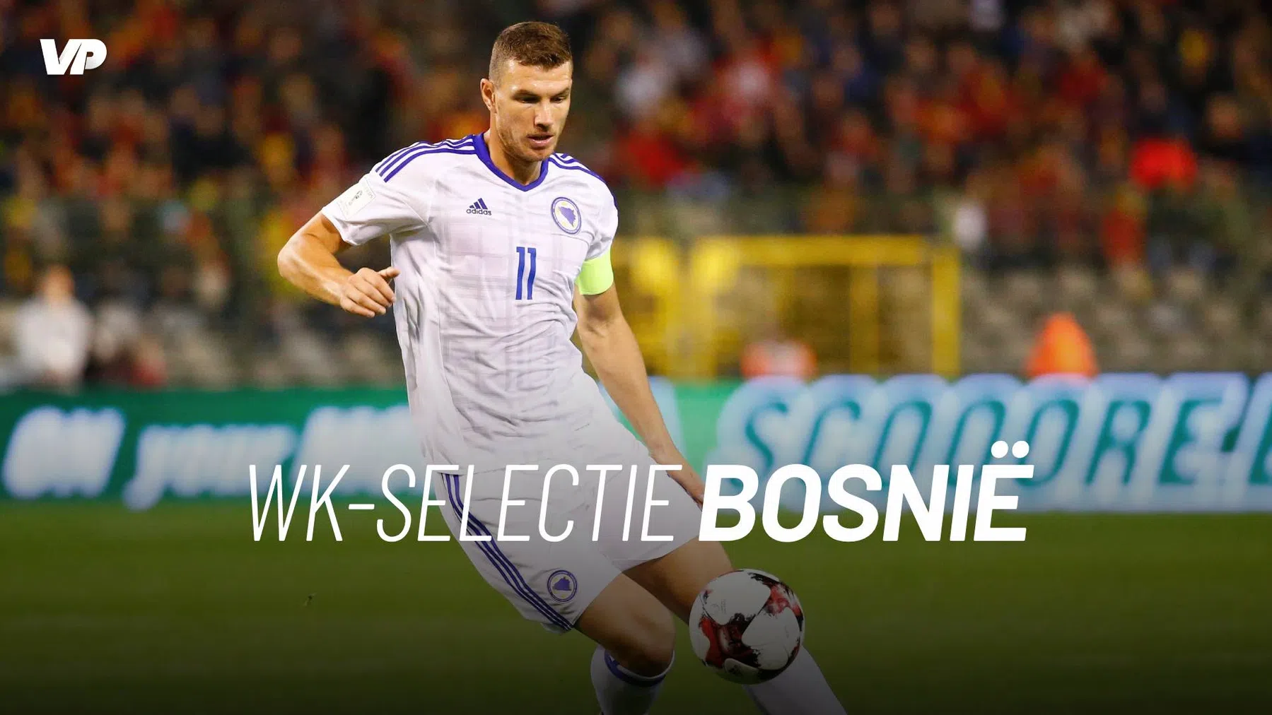 De WK-selectie van BosnIë en Herzegovina, inclusief Dzeko