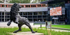 'KNVB doet met klem een beroep op burgemeester rond Ajax - FC Groningen'