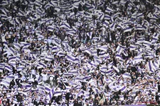 Thumbnail for article: Adidas over nieuwe samenwerking met Anderlecht: “Zij staan voor excellentie”