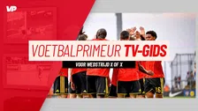 Thumbnail for article: De tv-gids voor België-Egypte: waar & wanneer zie je eerste duel van Rode Duivels?