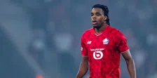 Thumbnail for article: Ngoy laat zich opmerken bij de Rode Duivels: "Een captain in wording"