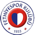 Fethiyespor