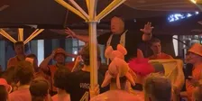 Thumbnail for article: Hilarische beelden uit Dortmund: Engelsman spot met Oranje-fans, wordt teruggepakt