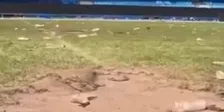 Van promotiefeest naar ravage: stadion van HSV is flink toegetakeld