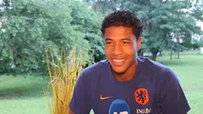 Flamingo: 'Ik heb er geen zin in, dan moet je iedereen tevreden houden'