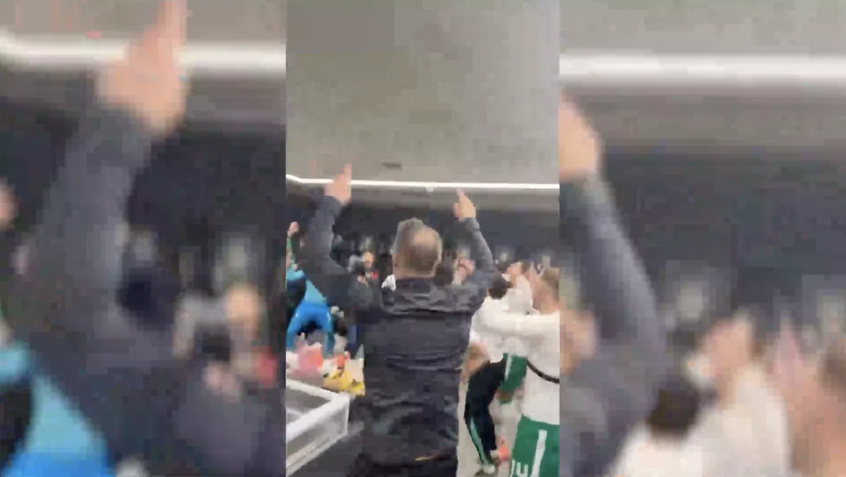 Kijk en geniet: selectie Ierland kijkt in kleedkamer naar winnende goal Parrott