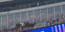 Beelden uit Camp Nou: Feyenoord-fans onderwerpen hekken aan stevige test